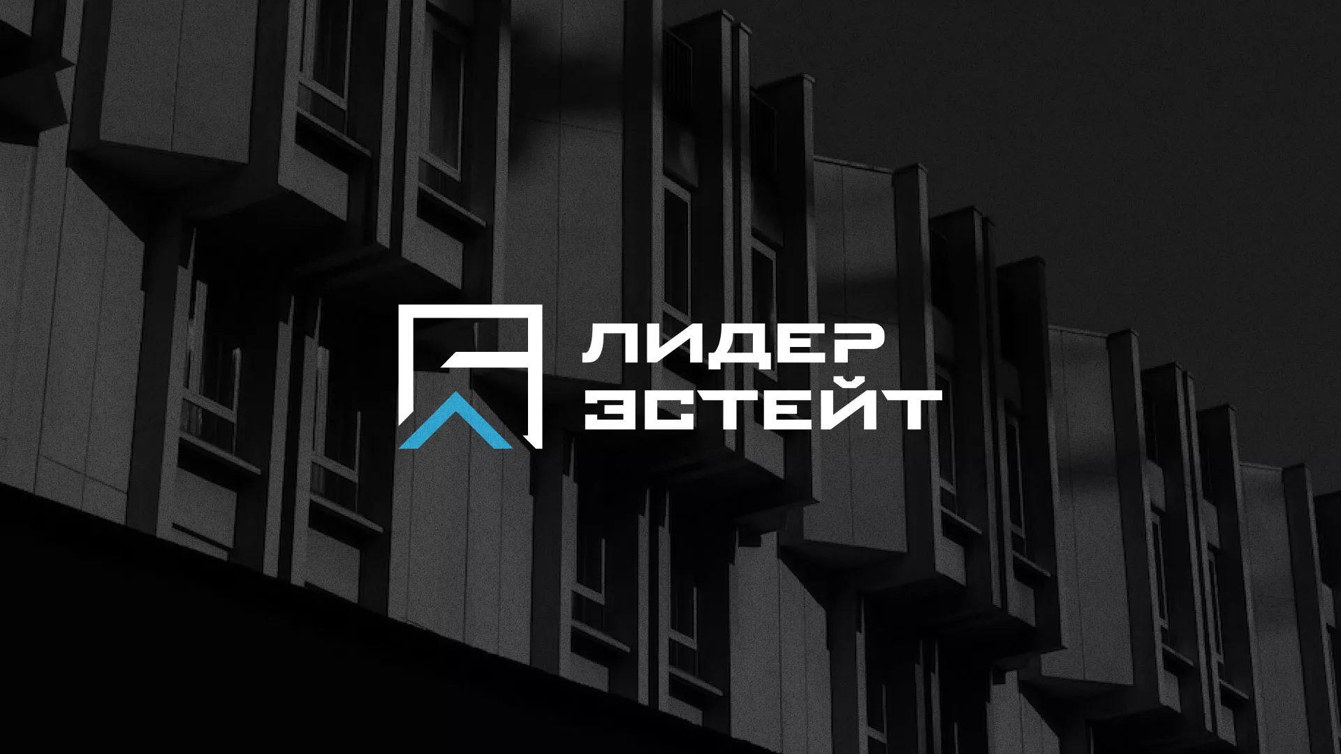 Разработка логотипа агентства недвижимости «Лидер Эстейт» в Бородино